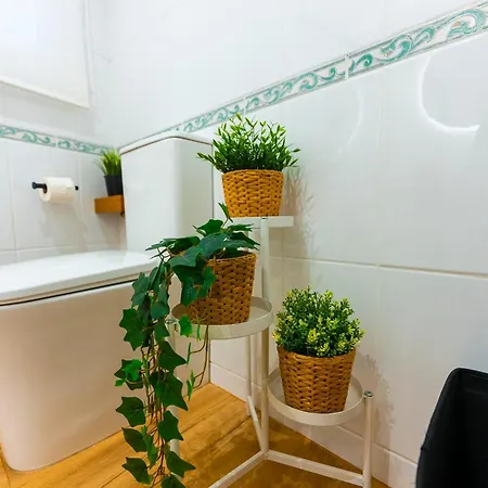 Apartment Lar De Sefa *